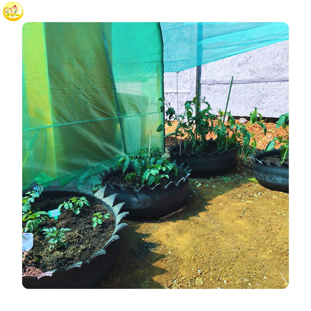 Casa Abierta a la Comunidad